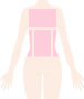 背中〜側腹部の画像